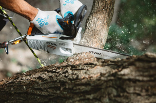 STIHL Pilarka MS 194 T / Odbiór osobisty