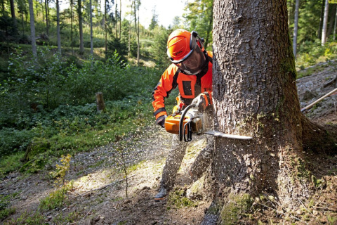 STIHL Pilarka MS 362 C-M/ Odbiór osobisty STIHL Pilarka MS 362 C-M/ Odbiór osobisty