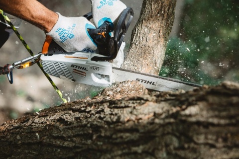Pilarka STIHL MS 194 T 3/8", L04 35 cm Orginał
